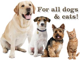 For all dogs & cats!