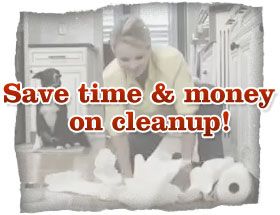 Save time & money on cleanup!